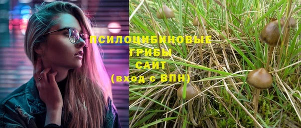 ешки Волоколамск