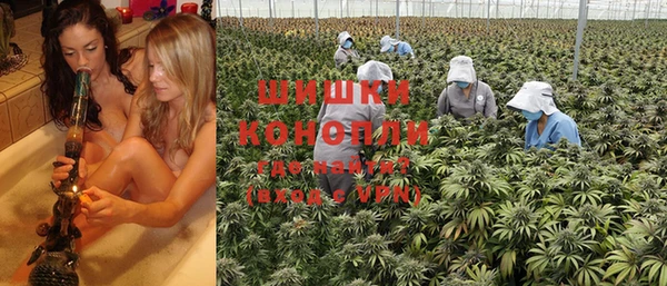 шишки Волосово