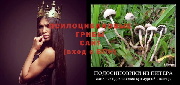 шишки Волосово