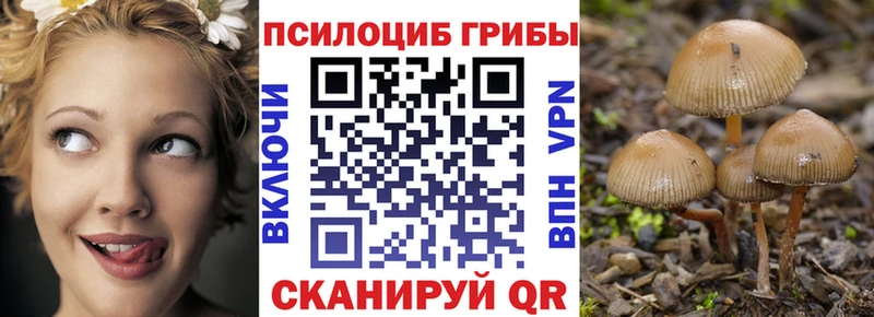 Псилоцибиновые грибы GOLDEN TEACHER хочу Петров Вал